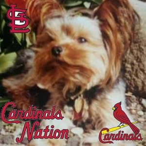 Meet your Posher, Barb